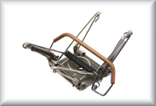 Watschenpantograph, laut Mikado Typ 4.1, Preis pro Stück.