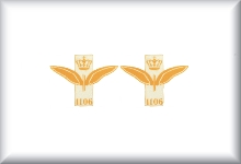 Decals for locomotive body, price per 2 items.
